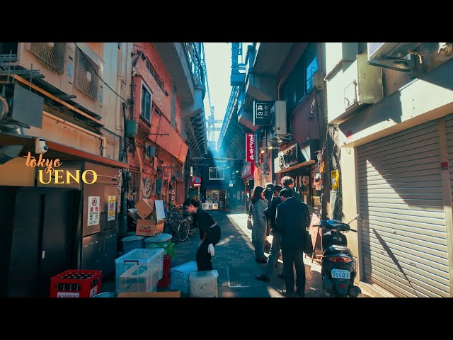 Sunlight & City Harmony: A Walk Through Ueno | 4K HDR