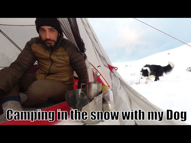 Tent Camping, Snow, Winter Camping, quilt and dog