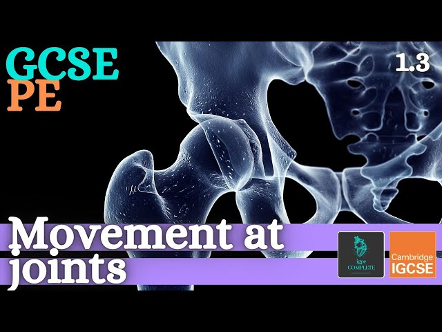 GCSE PE - MOVEMENT AT JOINTS - Anatomy and Physiology (Skeletal and Muscular System - 1.3)