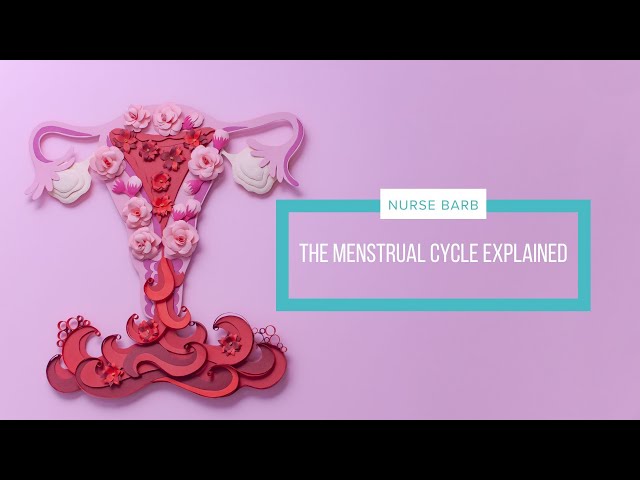 Your Menstrual Cycle Explained