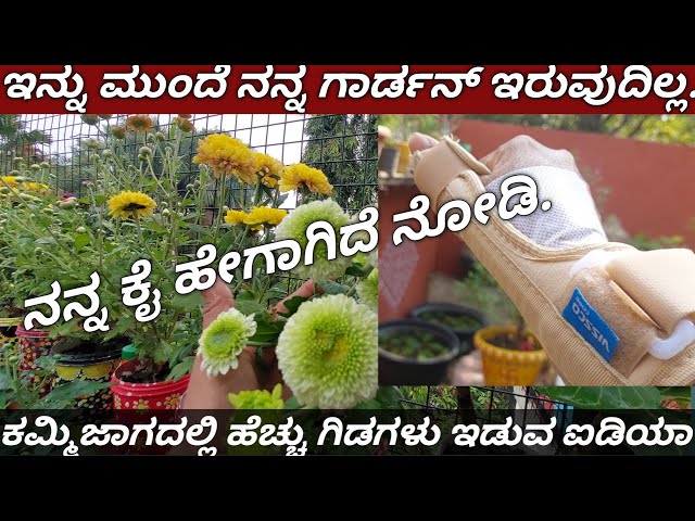 Gud bye Garden/Maximum pots in small place/ಕಮ್ಮಿ ಪ್ಲೇಸ್ ನಲ್ಲಿ ಜಾಸ್ತಿ ಗಿಡಗಳು/Container gardening idea