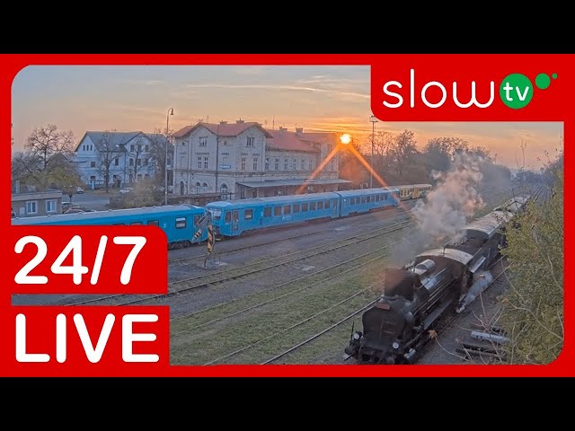 🔴 LIVE: Lužná u Rakovníka Train Station | 24/7 LIVE