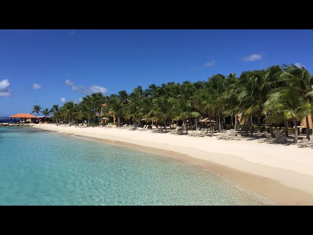 Emmy award winning journalist Tara Hitchcock explores Bonaire Island and Harbour Village