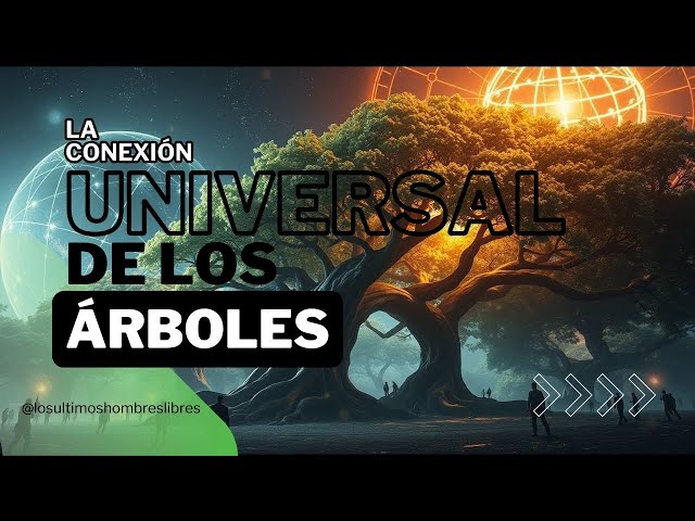 La Conexión Universal de los Árboles: ¿Una Red de Conciencia?