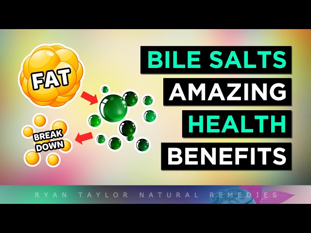 The INCREDIBLE Benefits of Bile Salts (Ox Bile & TUDCA)