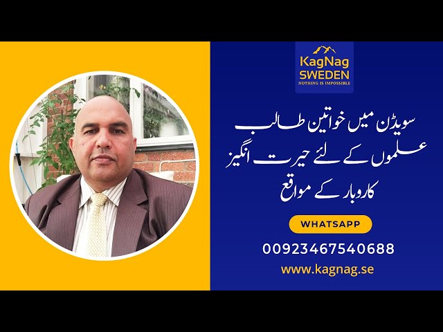 Best Business Ideas in Sweden. You can start Business when you student in Sweden . Urdu Langauage.