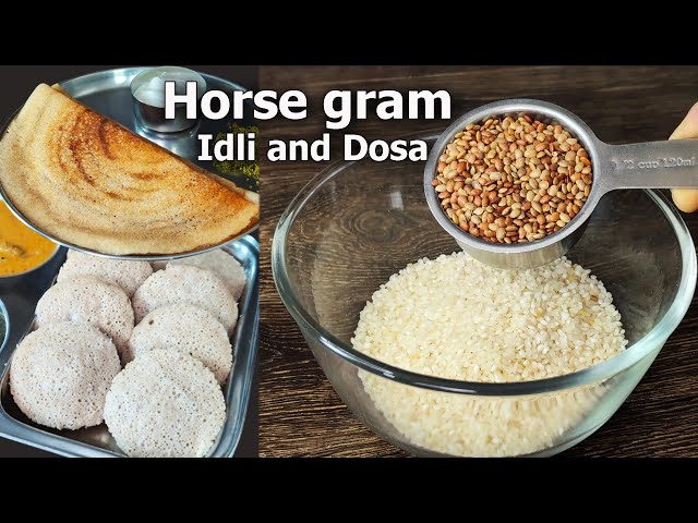 Healthy Horse Gram Idli and Dosa Recipe | HP Breakfast | Healthy Recipes | Weight Loss Recipes