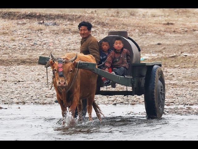 Inside North Korean Regime Documentary