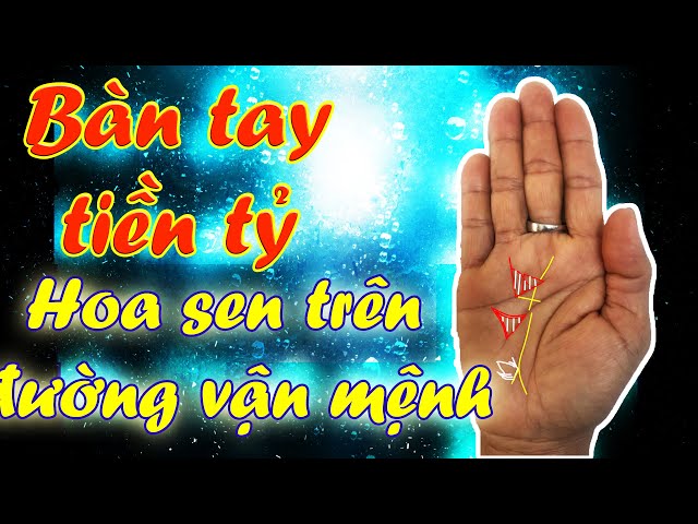 Bàn tay tiền tỷ l Hoa Sen trên đường định mệnh l Chỉ tay đặc biệt