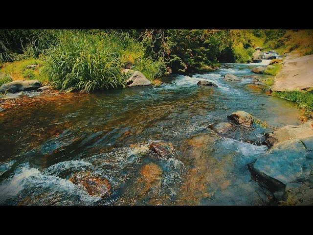 🔴 5-Minute Sleep Aid | Calming River Sounds for Relaxation and Focus | Tranquil Nature Flow