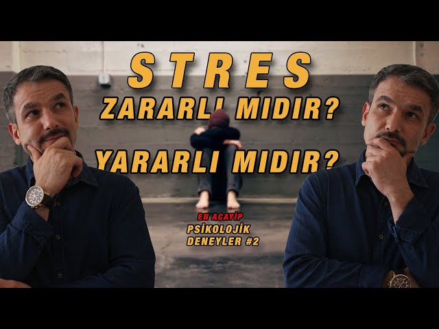 Psikolojik Deneyler Serisi #4 I Stres Gerçekten Zararlı Mı?