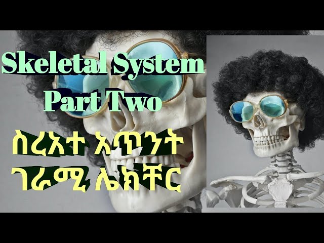 Skeletal System Part Two with Animation and Amharic Speech | ስራአተ አጥንት ክፍል ሁለት