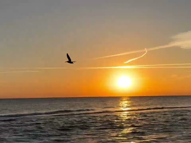 Sunset Siesta Key, FL April 8th 2024