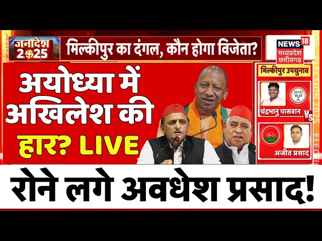 Milkipur By Election Result Live : Ayodhya में Akhilesh Yadav की हार? | Awadhesh Prasad | CM Yogi