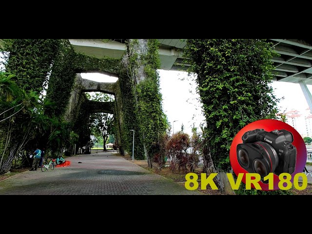 SINGAPORE being tropical has plants absolutely everywhere 8K/4K VR180 3D (Travel Videos/ASMR/Music)