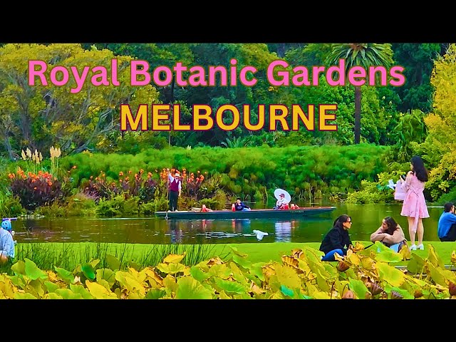 4K Walking Tour Royal Botanic Gardens Melbourne - The Nature's Paradise