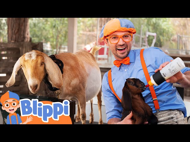 Blippi Visits a Baby Animal Farm! | Learn About Animals | Animal Videos for Kids