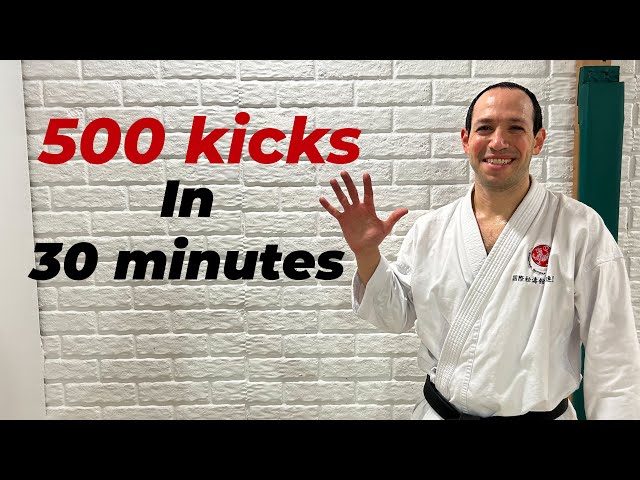 Karate workout: 500 kicks in 30 mins