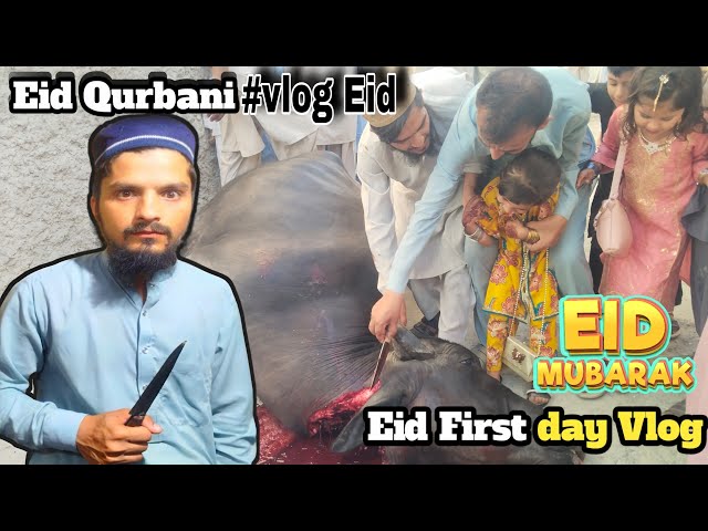 OUR EID-UL-ADHA VLOG IS HERE | 3 DAYS OF FESTIVITIES | FAMILY | cow Qurbani 2k24 | waseem vlogs