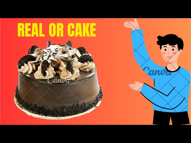 Real or Cake Challenge (Stay Tuned)