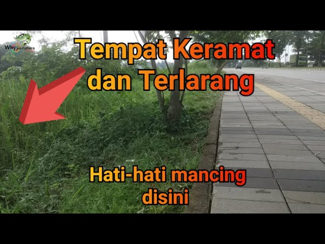 SPOT KERAMAT PINGGIR JALAN LINTAS‼️PANTAS TIDAK ADA YANG MANCING | Solo Fishing