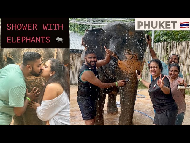 Thailand 🇹🇭 Travel Series | Phuket | Elephant Jungle Sanctuary | Must Do |Ep-3 | Sanjana Mohandoss