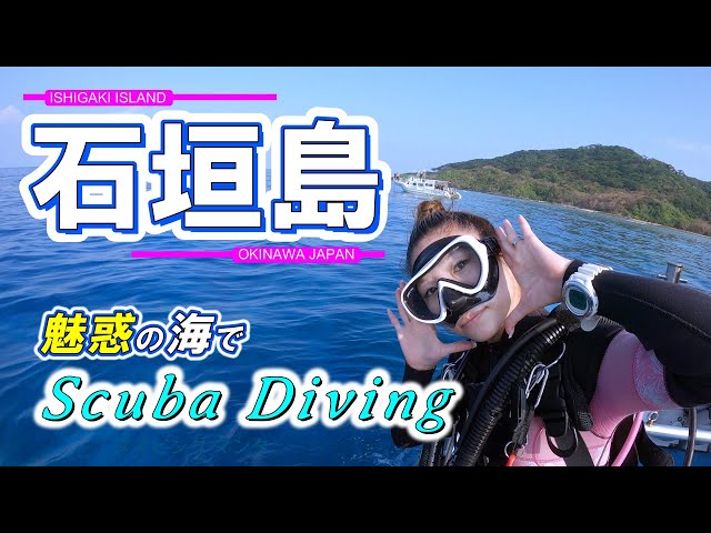 Scuba diving in Ishigaki Island. Okinawa,Japan.