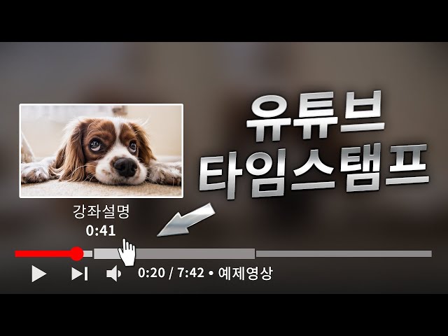 ⏱️유튜브 타임스탬프 기능/유튜브 재생바 제목 나누기/Youtube Chapter Timestamps Feature/챕터 마커/Youtube Chapter Marker