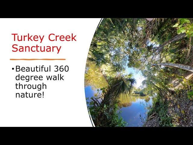 Turkey Creek Sanctuary VR360 walk thru