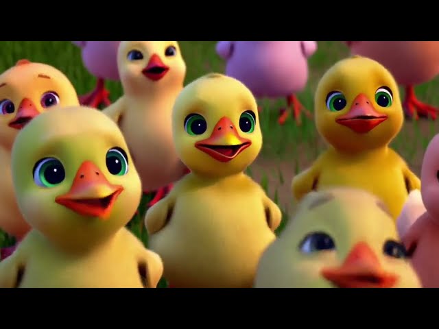 Little Chicks Song 🐤 | Animal Sounds Song | Animal Song for kids | Kids Songs