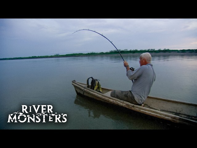 Stingray SHATTERS Fishing Rod, But Jeremy Wade Won’t Give Up | River Monsters