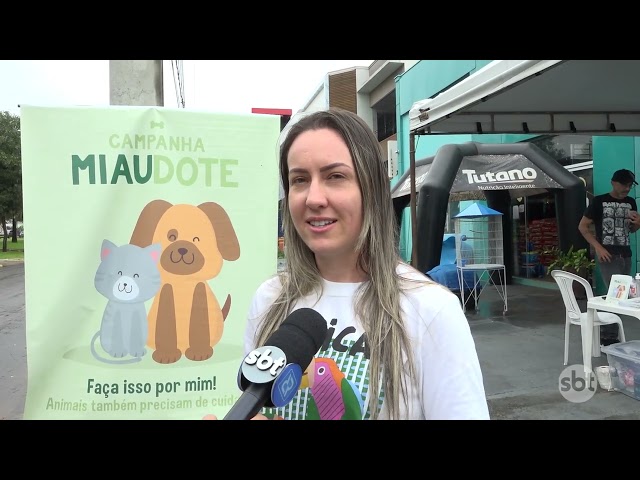 Campanha miaudote realizou feirinha de adoção em NM