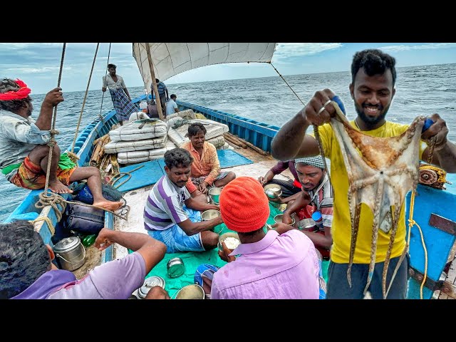 Today's Unlucky Day! Amazing Squid Fish Catching In Deep Sea | Squid Fishing | Part-01