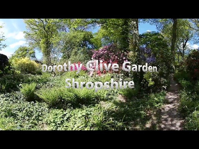 360 Shropshire Dorothy Clive Garden 12