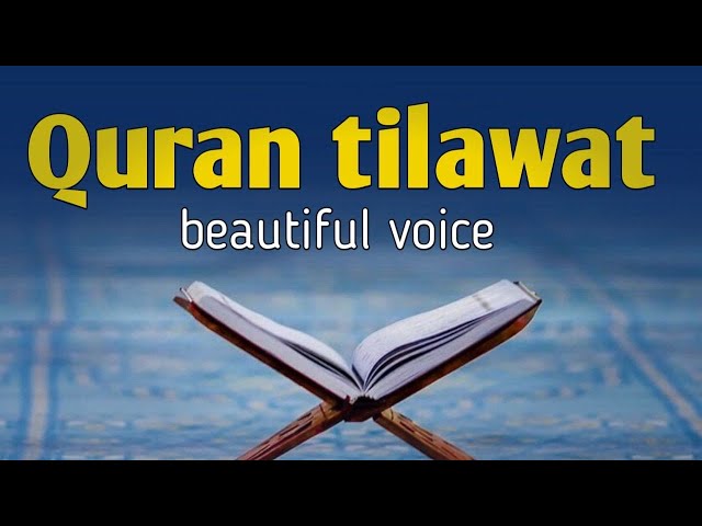 tilawat quran best voice