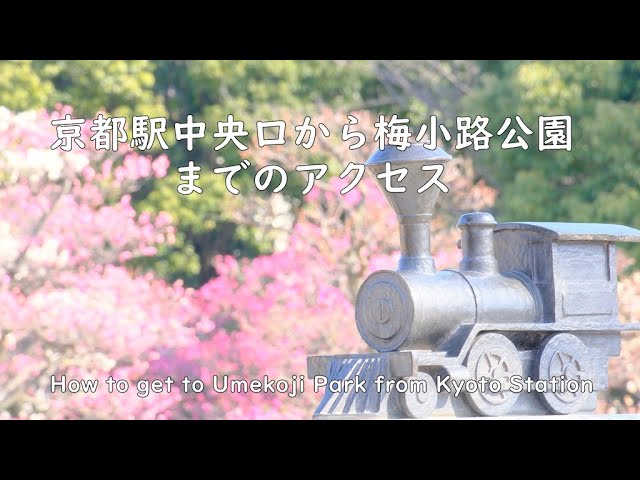 京都駅中央口から梅小路公園までの徒歩アクセス