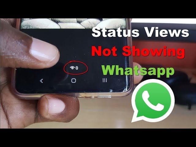 Status Views Not Showing Whatsapp Fix