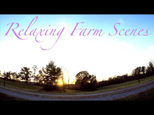 Relaxing Farm Scenes set to Classical music (time lapse and drone footage) #76