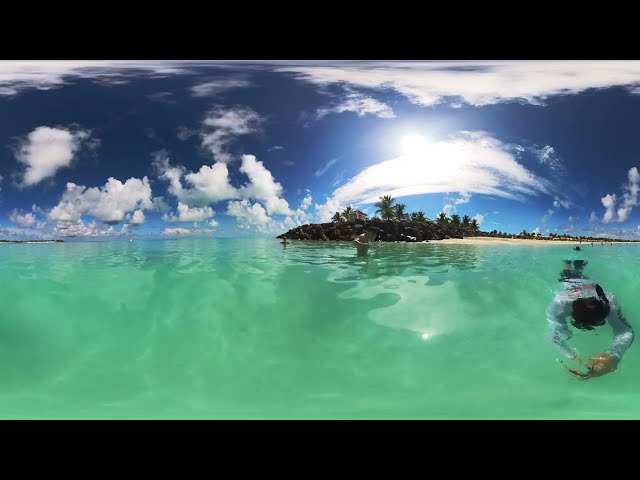 Meta Quest V.R Ocean Cay #1msc Marine Reserve Island Bahamas Experience Like Never Before:360°videos