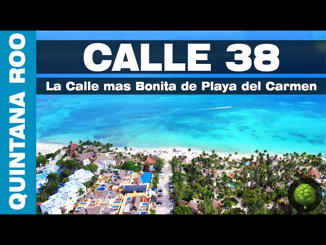 💚 La Calle mas BONITA de todo Playa del Carmen 🌳 (La Calle 38)