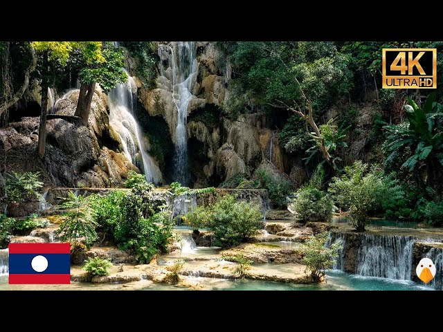 Kuang Si Falls, Laos🇱🇦 Most Beautiful Waterfall in Laos  (4K HDR)