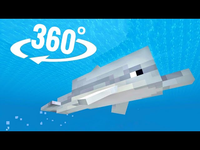 🐬 360 video Dolphins VR Minecraft underwater swimming & snorkeling experience 4K