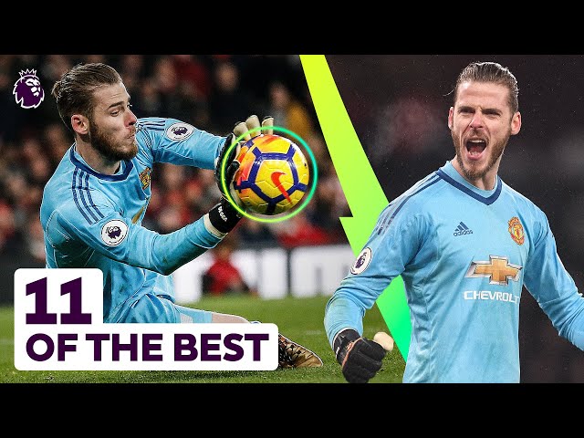 Unforgettable Saves in Premier League History