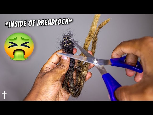 "What Is Inside My 2 years of Dreadlocks?" MOLD + BUILD-UPS