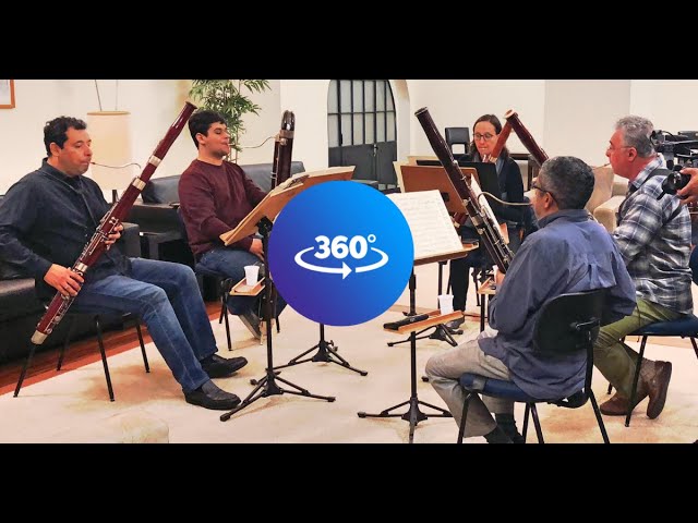 TAKE THE A TRAIN /CAMALEON BASSOONS (360º VIDEO - Watch in your Smartphone!)