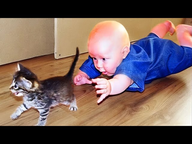 🔴[LIVE] 30 Minutes Of Videos Funniest Baby Meeting Animals - Funny Baby Video || COOL PEACHY