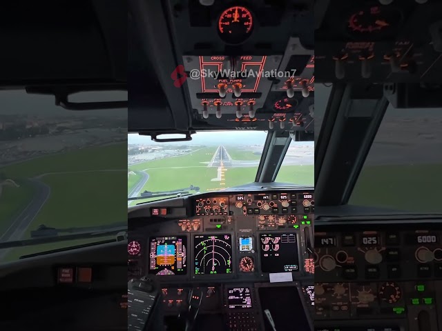 🛬 Beautiful Boeing 737 Smooth Landing | ✈️ Perfect Touchdown in HD!  #aviation #automobile #airplane