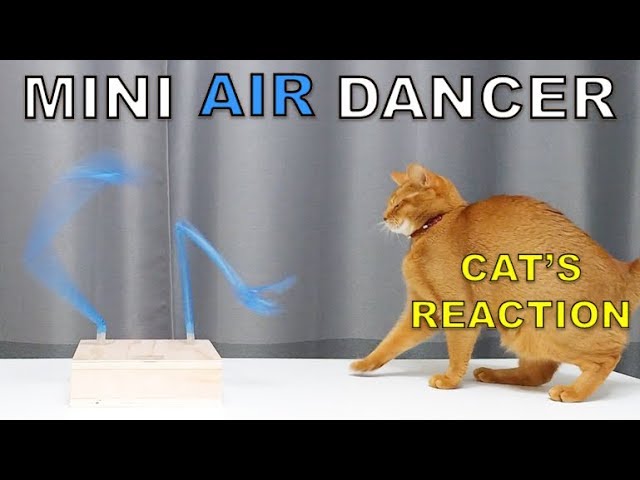 DIY Mini Air Dancer and Cat's Reaction