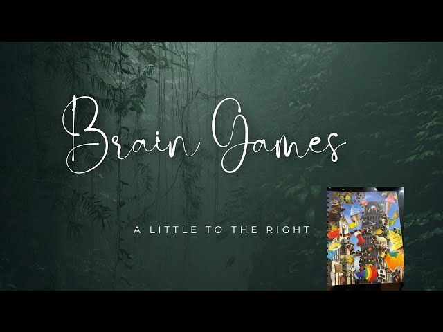 Brain 🧠 Game puzzle/  A little to the right/  stress relief