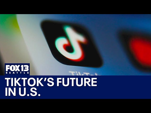 Financing TikTok purchase with sovereign wealth fund | FOX 13 Seattle